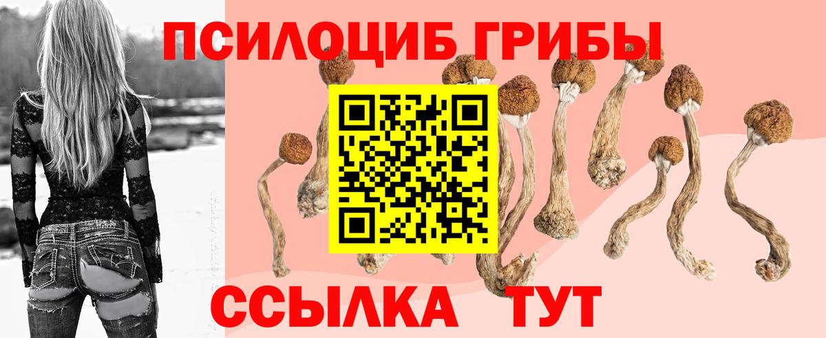 Лениногорск  Галлюциногенные грибы Psilocybine cubensis  Вход с VPN  Псилоцибиновые грибы Cubensis 
